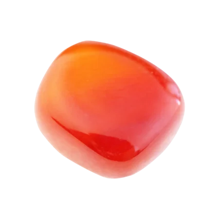 Cornaline pierre bélier