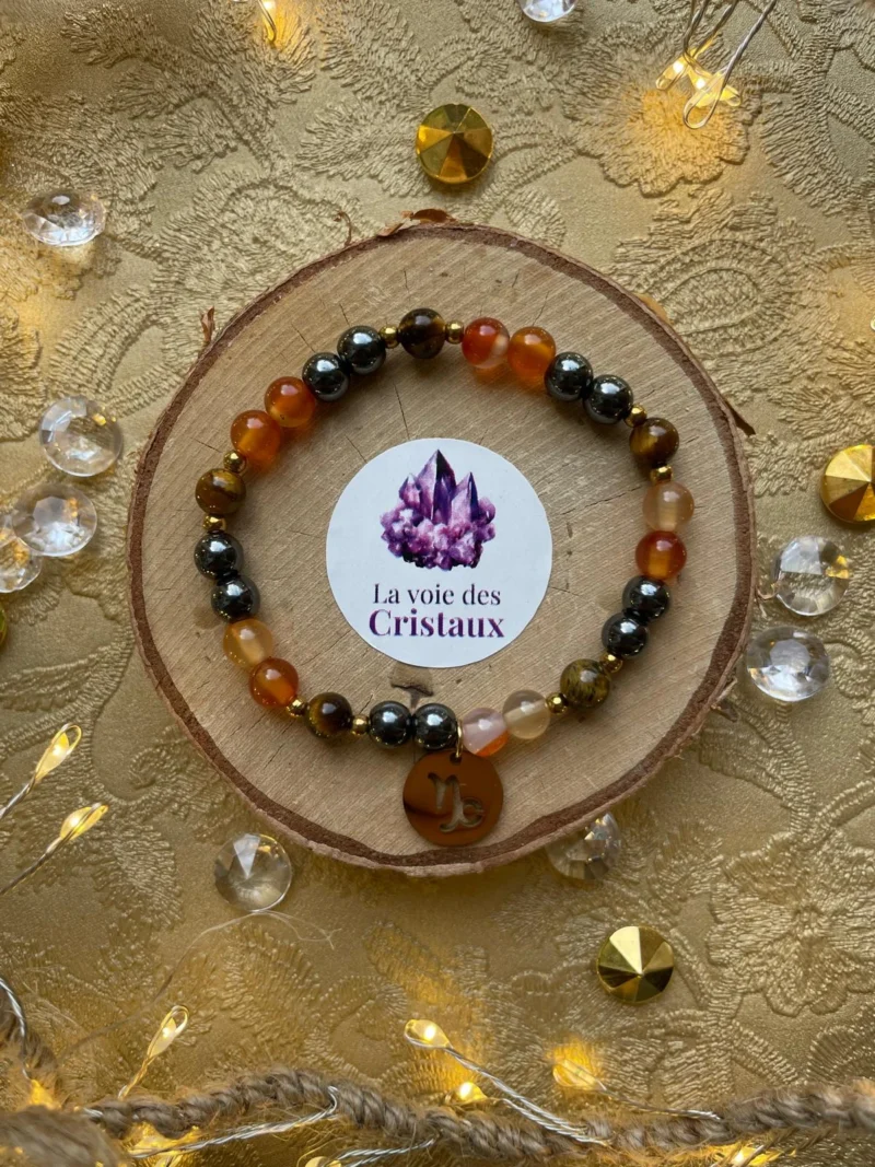 Bracelet Capricorne hématite cornaline œil de tigre vue du dessus
