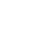 gemini-icon.png