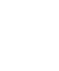 virgo-icon.png